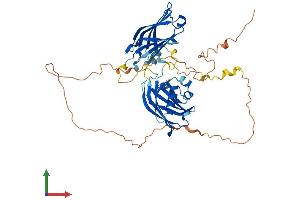 AlphaFold protein structure predicition of Mouse Recombinant Syt17 Protein, UniprotID Q920M7