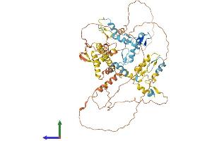 AlphaFold protein structure predicition of Human Recombinant ZBTB16 Protein, UniprotID Q05516