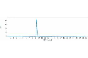 anti-RGMA (Elezanumab Biosimilar) antibody
