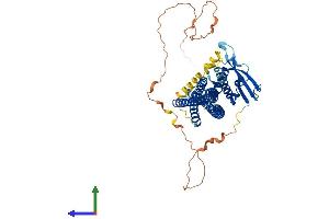 AlphaFold protein structure predicition of Mouse Recombinant Snx1 Protein, UniprotID Q9WV80