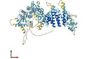 AlphaFold protein structure predicition of Human Recombinant CENPI Protein, UniprotID Q92674