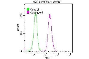 Overlay histogram showing K562 cells stained with ABIN7127382 (red line) at 1:50.