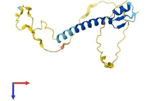 AlphaFold protein structure predicition of Human Recombinant SNRPC Protein, UniprotID P09234