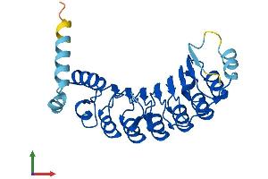 AlphaFold protein structure predicition of Human Recombinant AMN1 Protein, UniprotID Q8IY45
