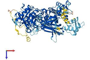 AlphaFold protein structure predicition of Mouse Recombinant Plcd1 Protein, UniprotID Q8R3B1
