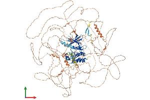 AlphaFold protein structure predicition of Human Recombinant MAP3K19 Protein, UniprotID Q56UN5