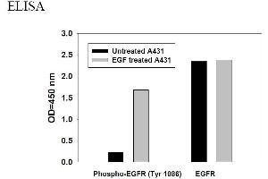 Image no. 6 for Epidermal Growth Factor Receptor (EGFR) ELISA Kit (ABIN1981746) (EGFR Kit ELISA)