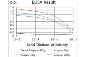 Red: Control Antigen (100ng) ; Purple: Antigen (10ng) ; Green: Antigen (50ng) ; Blue: Antigen (100ng).