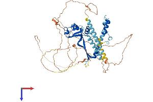 AlphaFold protein structure predicition of Mouse Recombinant Csrnp2 Protein, UniprotID Q8BGQ2