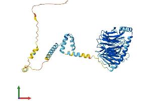 AlphaFold protein structure predicition of Human Recombinant PRPF4 Protein, UniprotID O43172