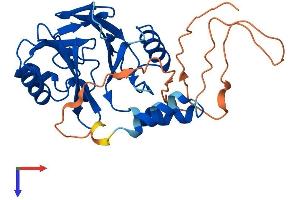 AlphaFold protein structure predicition of Human Recombinant HAGHL Protein, UniprotID Q6PII5