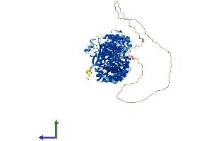 AlphaFold protein structure predicition of Mouse Recombinant Armc3 Protein, UniprotID A2AU72