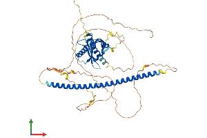 AlphaFold protein structure predicition of Human Recombinant NOS1AP Protein, UniprotID O75052