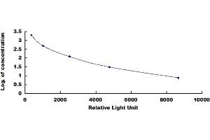 ELISA image for Calcitonin-Related Polypeptide alpha (CALCA) CLIA Kit (ABIN4947426)
