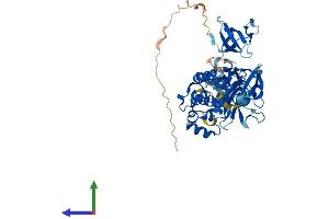 AlphaFold protein structure predicition of Human Recombinant MATK Protein, UniprotID P42679