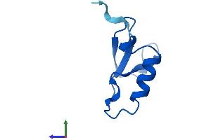 AlphaFold protein structure predicition of Human Recombinant NOP10 Protein, UniprotID Q9NPE3