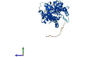 AlphaFold protein structure predicition of Human Recombinant LDHAL6B Protein, UniprotID Q9BYZ2