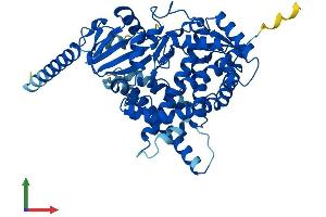 AlphaFold protein structure predicition of Mouse Recombinant Cyp46a1 Protein, UniprotID Q9WVK8