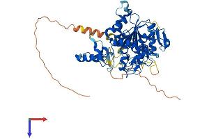 AlphaFold protein structure predicition of Human Recombinant ZCCHC4 Protein, UniprotID Q9H5U6
