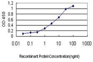 Detection limit for recombinant GST tagged PPOX is approximately 0.