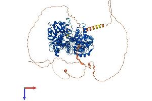 AlphaFold protein structure predicition of Human Recombinant LIG1 Protein, UniprotID P18858