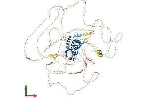 AlphaFold protein structure predicition of Human Recombinant E2F7 Protein, UniprotID Q96AV8