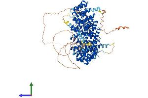 AlphaFold protein structure predicition of Human Recombinant PPP4R4 Protein, UniprotID Q6NUP7