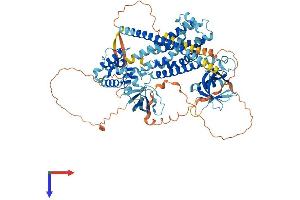 AlphaFold protein structure predicition of Mouse Recombinant Arhgef6 Protein, UniprotID Q8K4I3