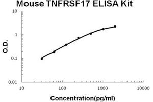 Mouse TNFRSF17/BCMA Accusignal ELISA Kit Mouse TNFRSF17/BCMA AccuSignal ELISA Kit standard curve. (BCMA Kit ELISA)