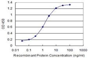 Detection limit for recombinant GST tagged COG3 is 0. (COG3 anticorps  (AA 25-124))