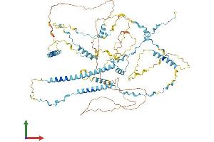 AlphaFold protein structure predicition of Mouse Recombinant Tpx2 Protein, UniprotID A2APB8