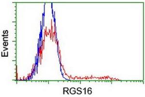HEK293T cells transfected with either RC202430 overexpress plasmid (Red) or empty vector control plasmid (Blue) were immunostained by anti-RGS16 antibody (ABIN2455310), and then analyzed by flow cytometry. (RGS16 anticorps)