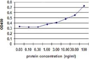 Sandwich ELISA detection sensitivity ranging from 10 ng/ml to 100 ng/ml. (BMPR1B (Humain) Matched Antibody Pair)