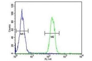 ARG1 antibody flow cytometric analysis of MDA-MB231 cells (green) compared to a negative control (blue).
