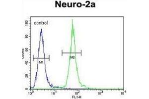 Flow cytometric analysis of Neuro-2a cells using hCG_17324 Antibody (C-term) Cat.