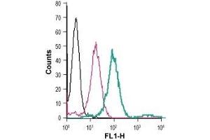 Cell surface detection of SLC7A2 in live intact human THP-1 monocytic leukemia cells: (black line) Cells.