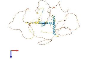 AlphaFold protein structure predicition of Mouse Recombinant Mtdh Protein, UniprotID Q80WJ7
