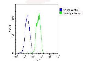 Overlay histogram showing HepG2 cells stained with (ABIN653263 and ABIN2842782) (green line).