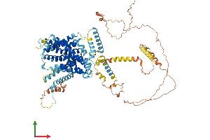 AlphaFold protein structure predicition of Mouse Recombinant Slc9a3 Protein, UniprotID G3X939