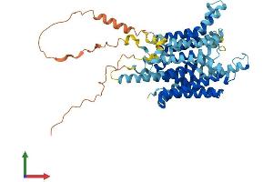 AlphaFold protein structure predicition of Human Recombinant SLC45A2 Protein, UniprotID Q9UMX9