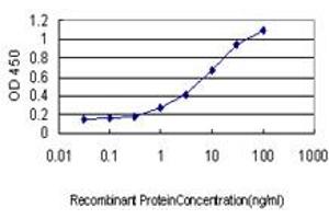 Detection limit for recombinant GST tagged HOXB1 is approximately 0. (HOXB1 anticorps  (AA 1-74))
