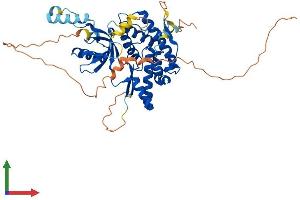 AlphaFold protein structure predicition of Human Recombinant PI4K2B Protein, UniprotID Q8TCG2