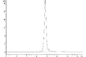 The purity of Human CD30 Ligand/TNFSF8 is greater than 95 % as determined by SEC-HPLC.