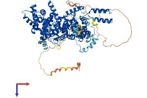 AlphaFold protein structure predicition of Human Recombinant STRIP1 Protein, UniprotID Q5VSL9
