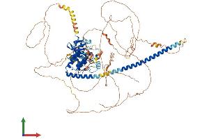 AlphaFold protein structure predicition of Mouse Recombinant Map3k12 Protein, UniprotID Q60700