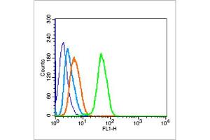 MCF7 cells were fixed with 70% ice-cold methanol overnight at 4℃, permeabilized with 90% ice-cold methanol for 20 min at room temperature, and incubated in 5% BSA blocking buffer for 30 min at room temperature.