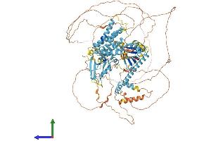 AlphaFold protein structure predicition of Human Recombinant CNKSR2 Protein, UniprotID Q8WXI2