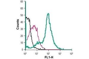 Cell surface detection of cystine/glutamate transporter in live intact mouse J774 macrophage cells:(black line) Cells.