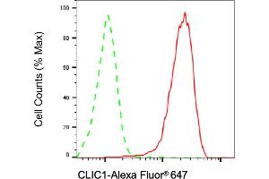 Flow cytometric analysis of CLIC1 expression in HAP-1 cells using CLIC1 antibody (ABIN7798050), 1:2,000). (Recombinant CLIC1 anticorps)
