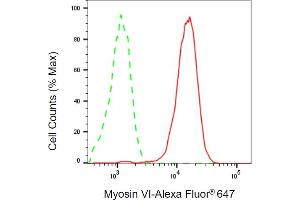 anti-Myosin VI (MYO6) antibody